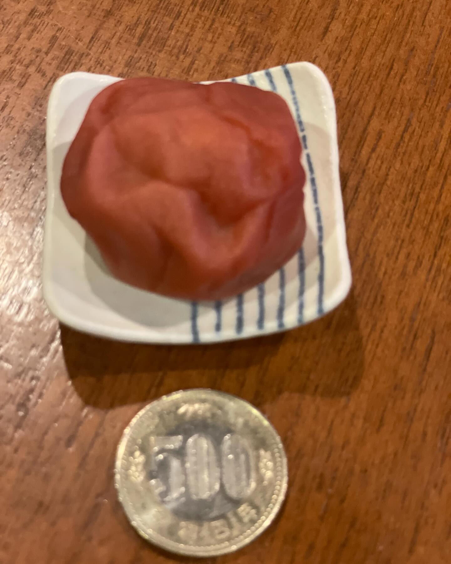紀州南高梅　梅干し