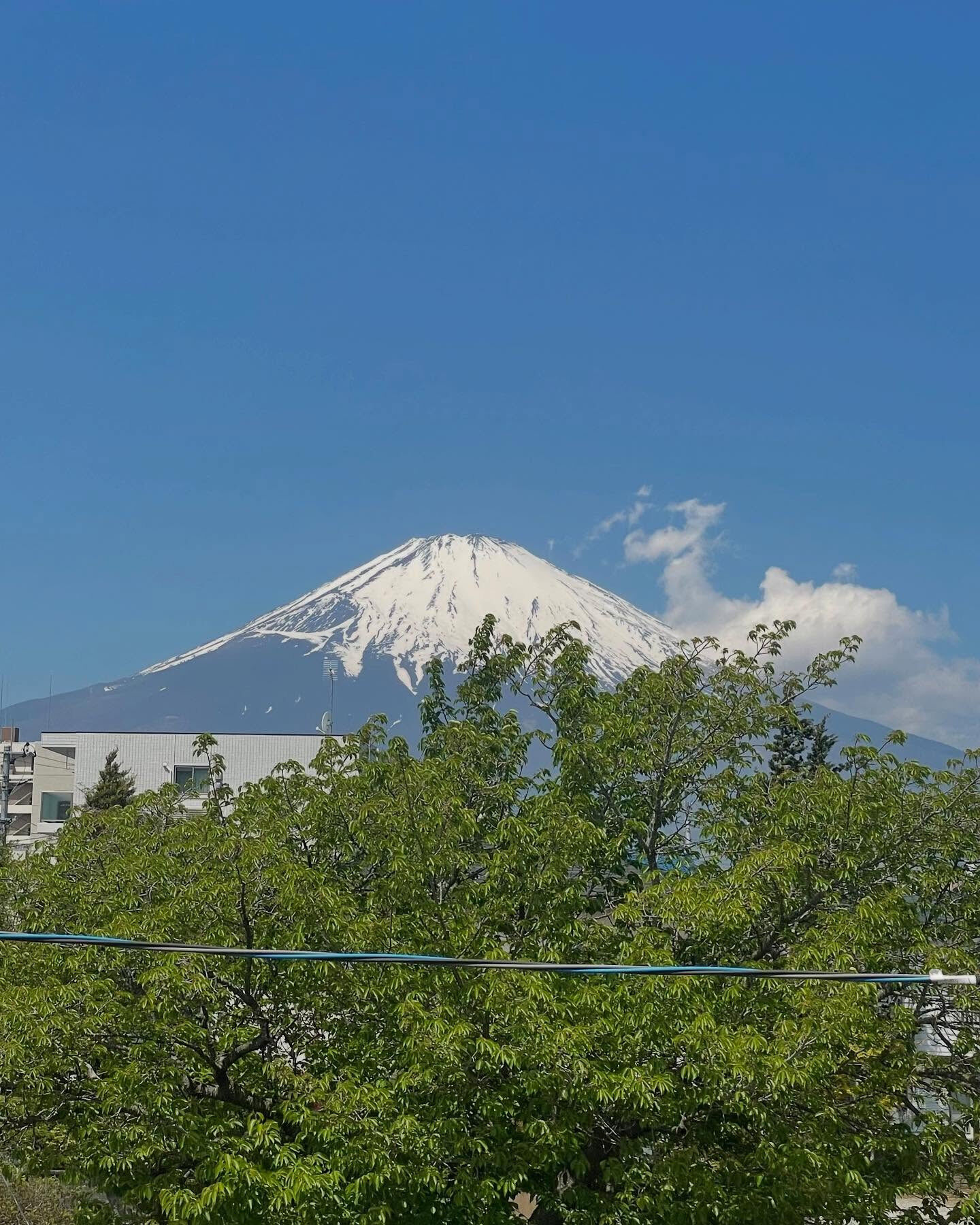 恐るべしAI⁉️