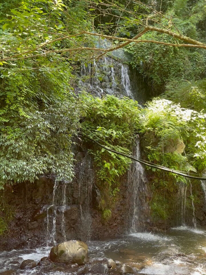 昨日はスペシャルな夏至ということで