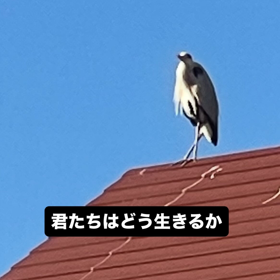 君たちはどう生きるか
