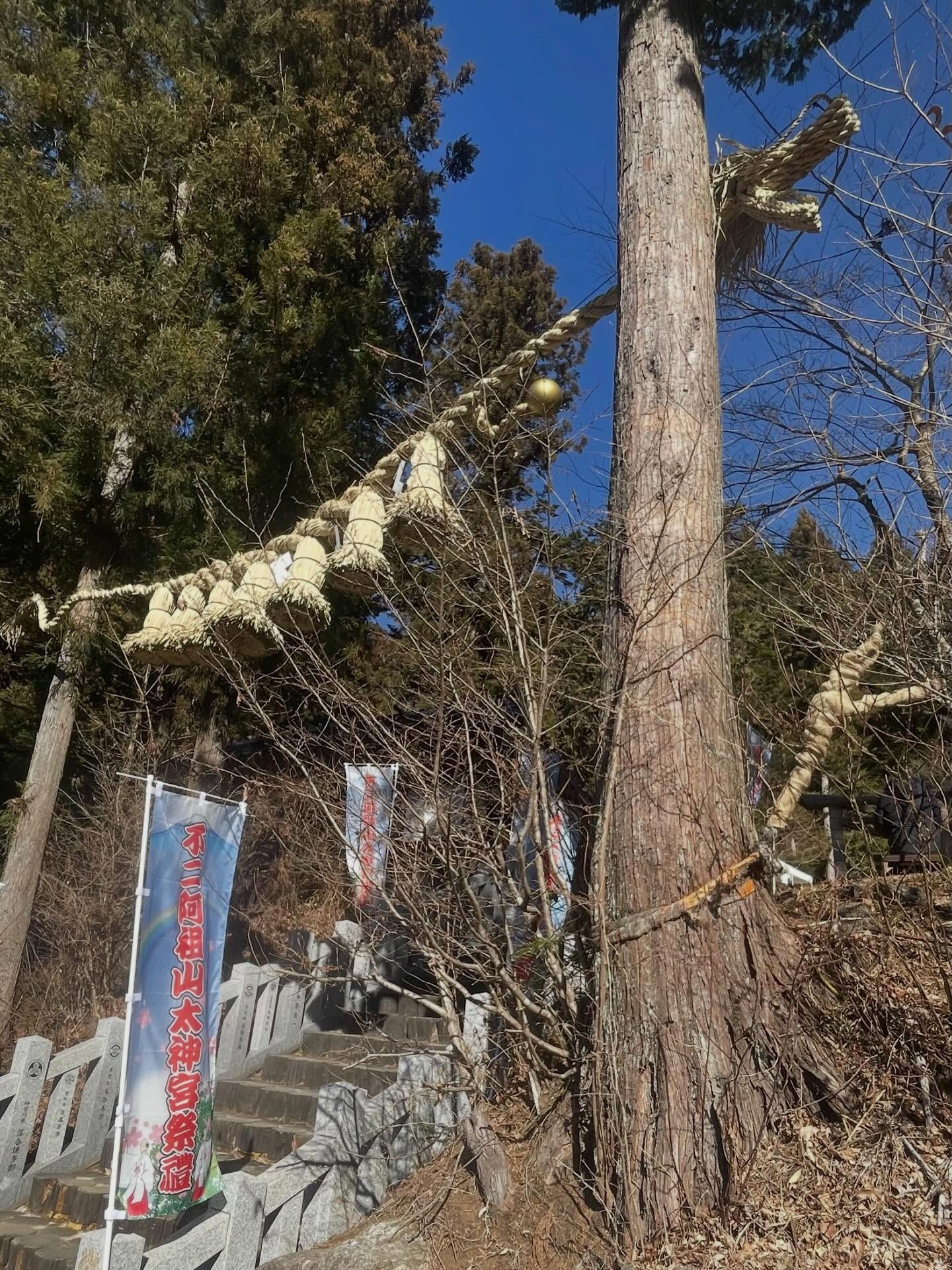 本日は「立春」