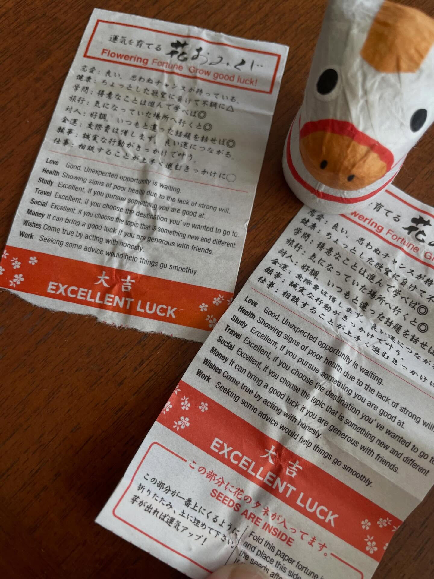 本日は「立春」