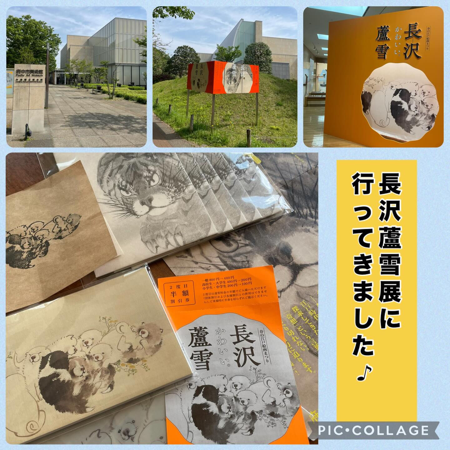 蘆雪展💕