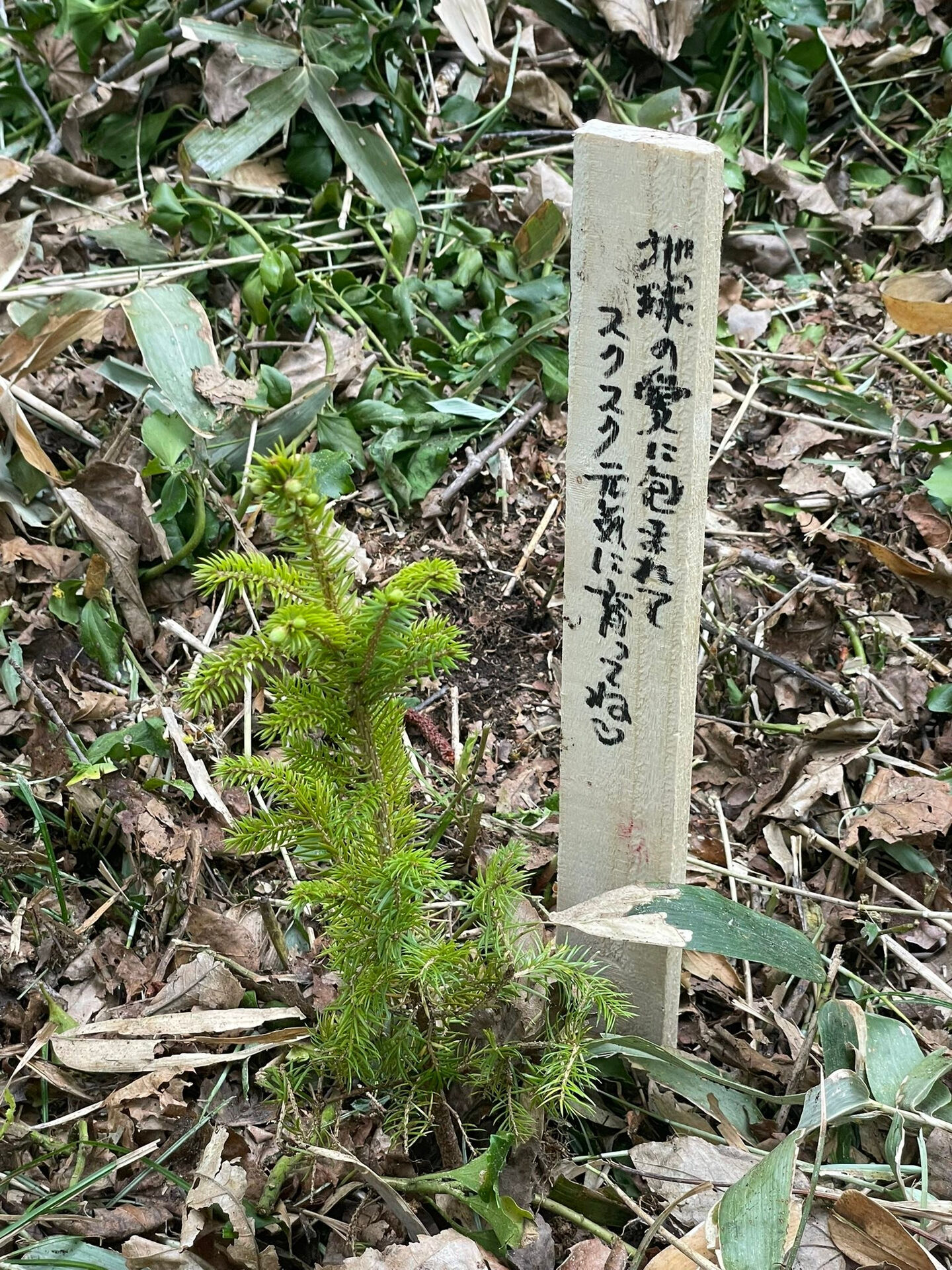 【阿寒湖リトリート備忘録-3】