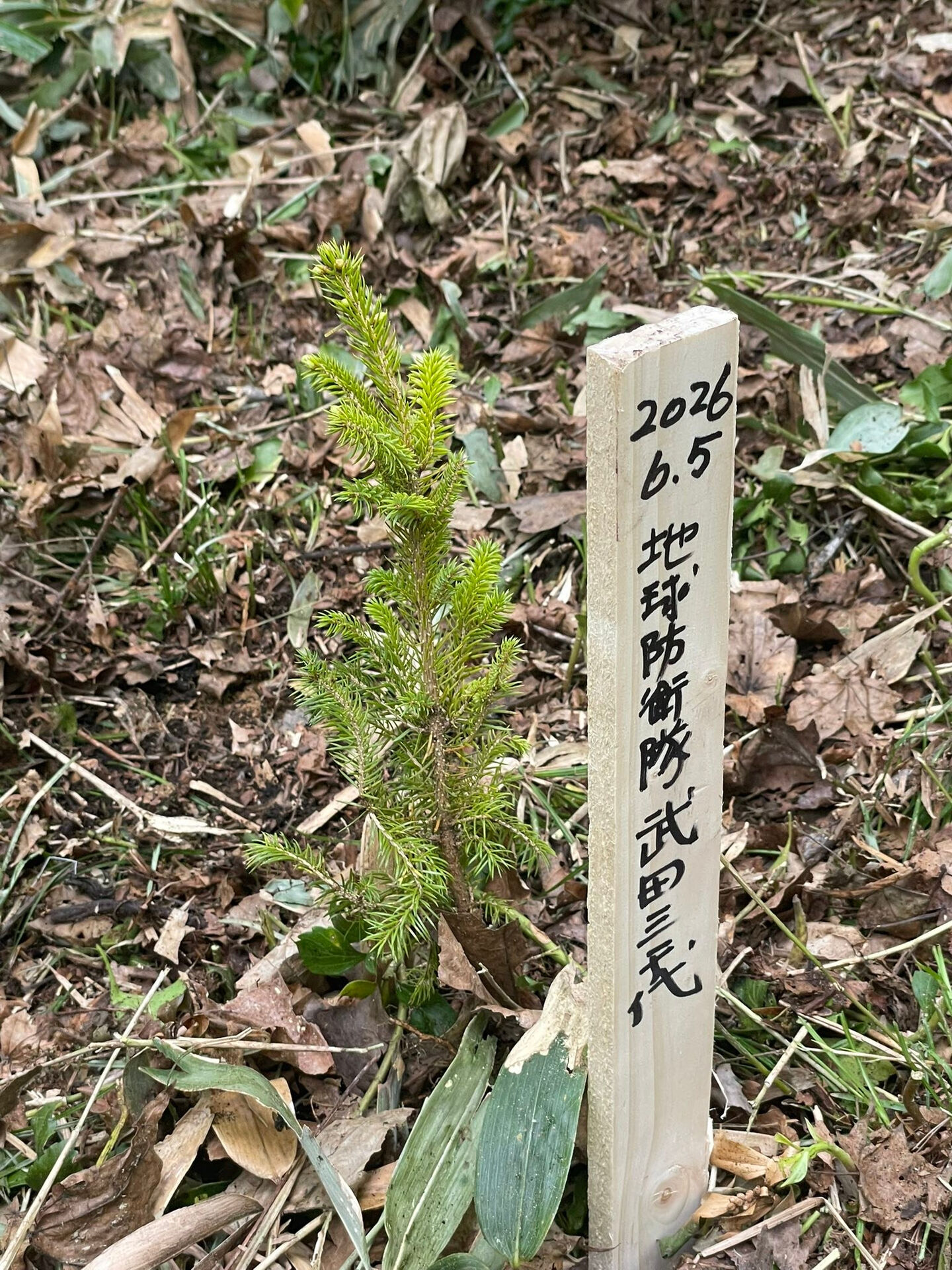 【阿寒湖リトリート備忘録-3】